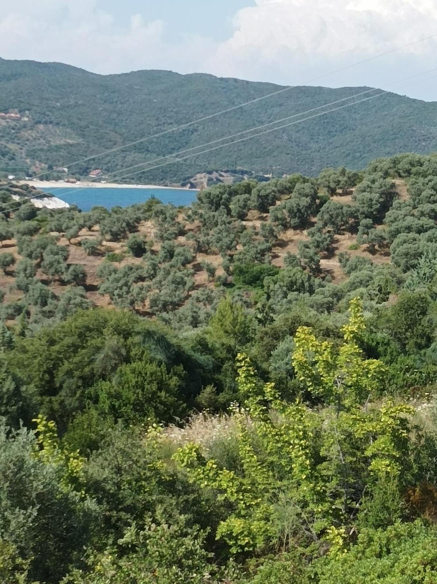 Art Hotel Panorama Pyrgadikia Luaran gambar